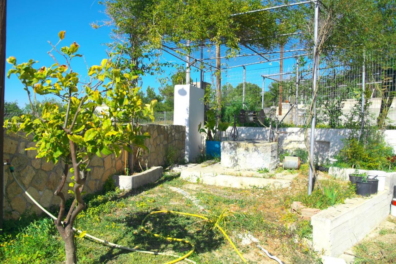 Georgia'S House Villa Aegina Buitenkant foto